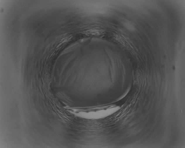 X0000062621297200601111024