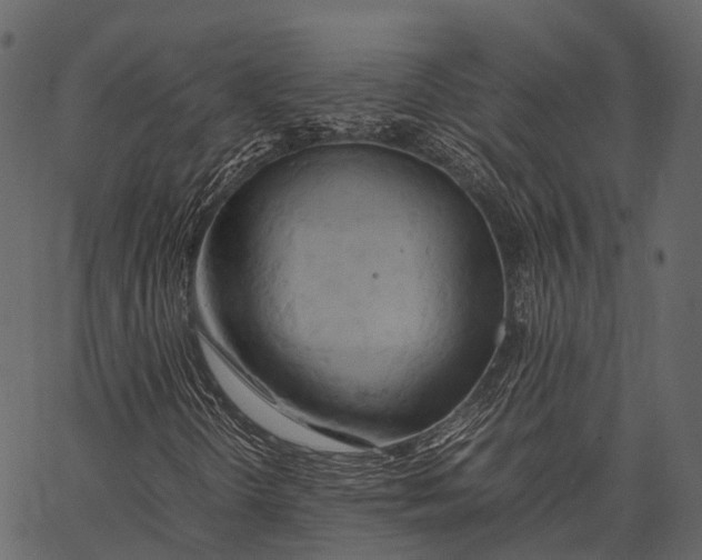 X0000062621298200601111024