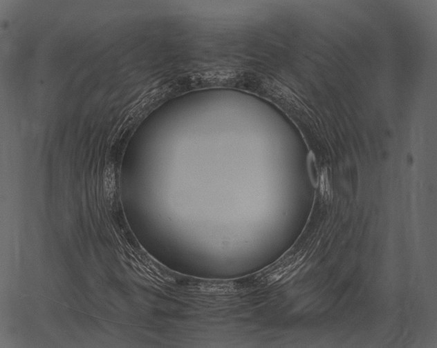 X0000062621299200601111024