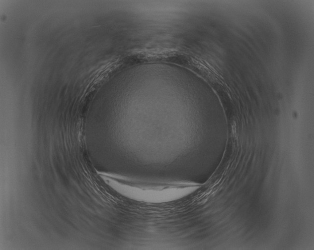 X0000062621300200601111024