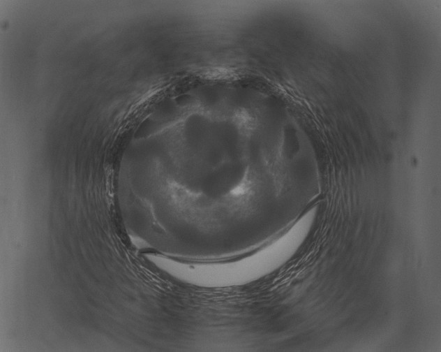 X0000062621301200601111024