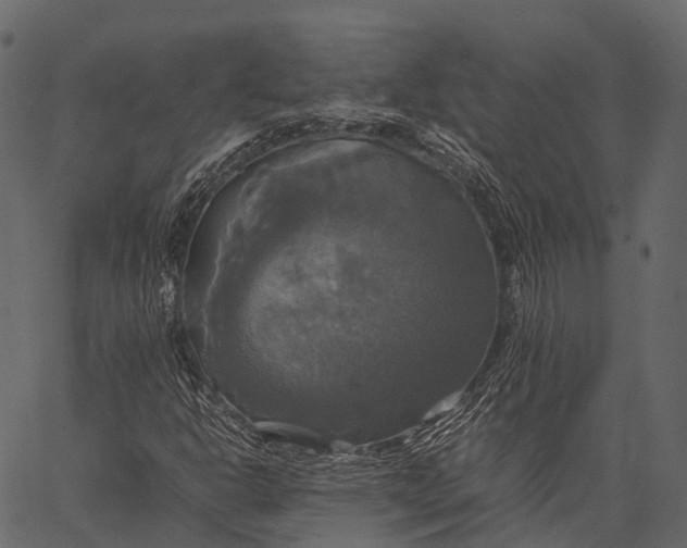 X0000062621302200601111024