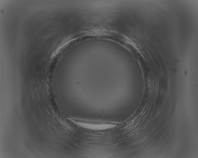 X0000062621304200601111024