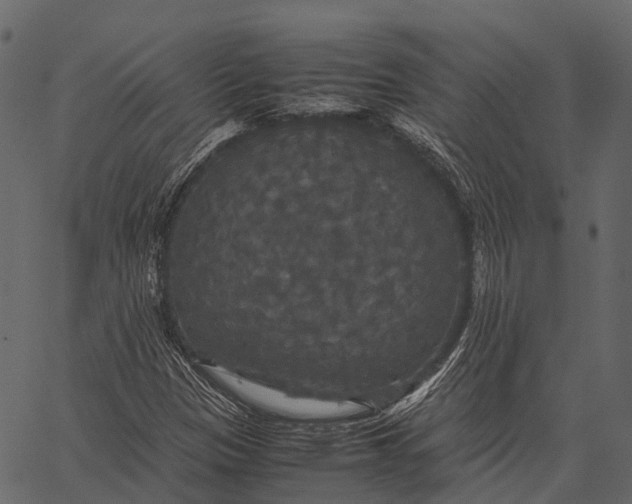 X0000062621305200601111024