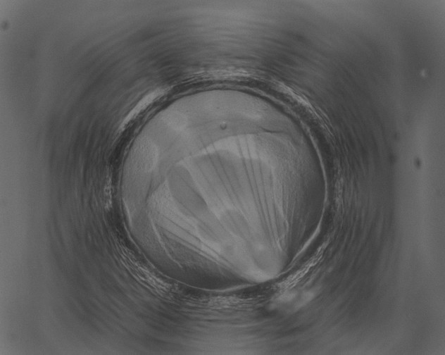 X0000062621306200601111024