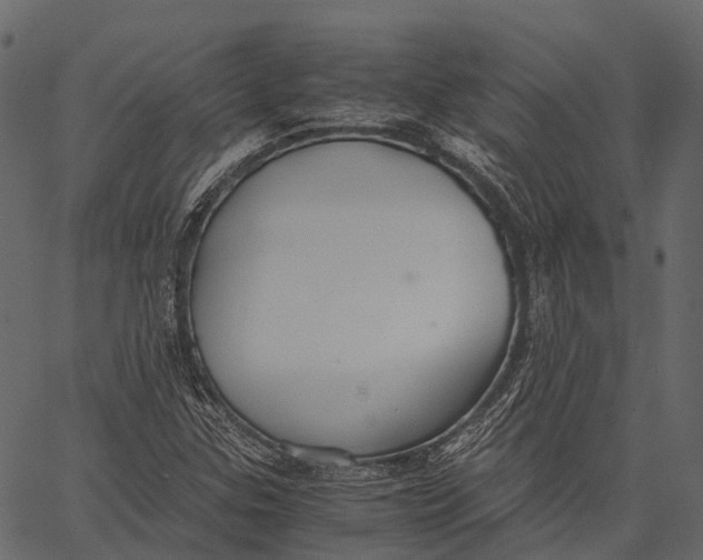 X0000062621307200601111024