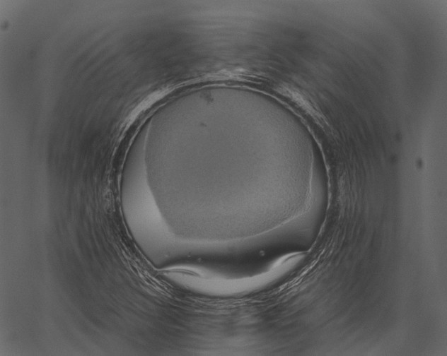 X0000062621308200601111024