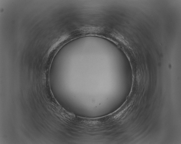 X0000062621309200601111024