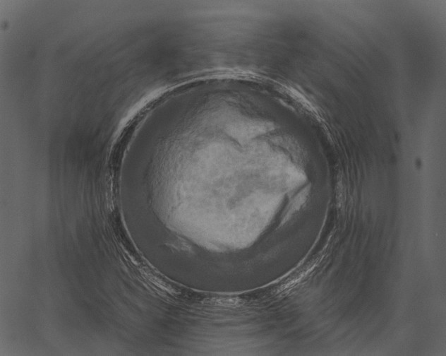 X0000062621310200601111024