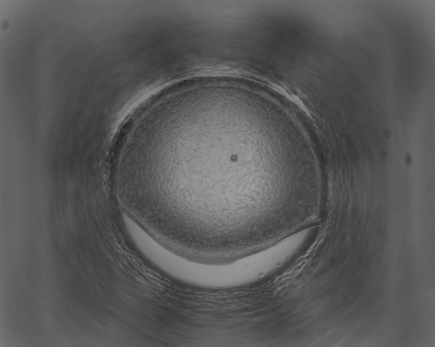 X0000062621311200601111024