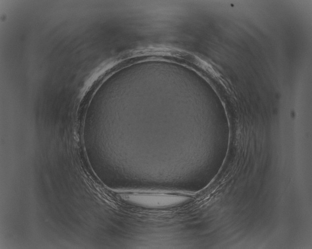 X0000062621312200601111024