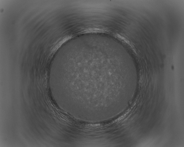 X0000062621313200601111024