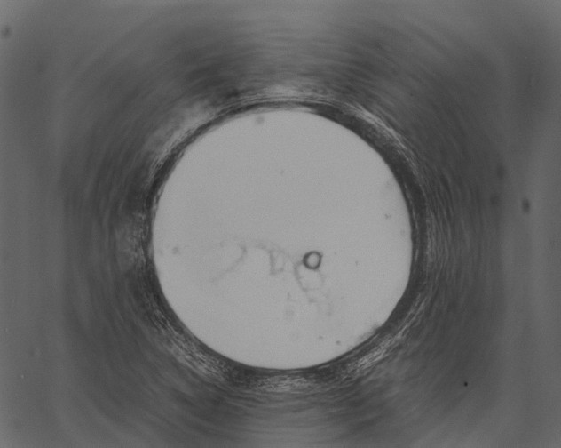 X0000062621314200601111024