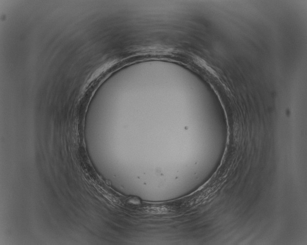 X0000062621315200601111024