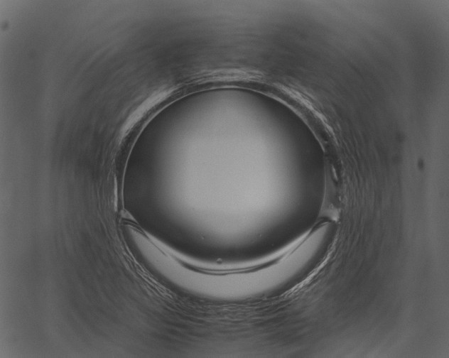 X0000062621317200601111024