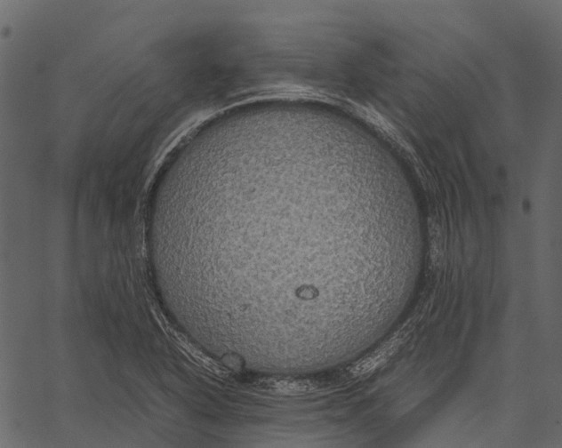 X0000062621318200601111024