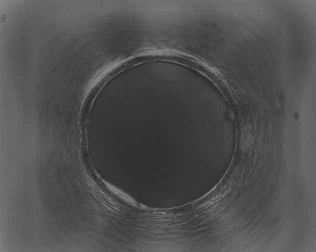 X0000062621319200601111024