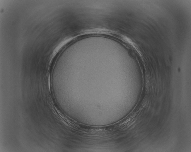 X0000062621320200601111024