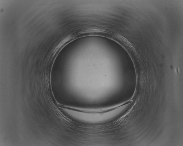 X0000062621321200601111024