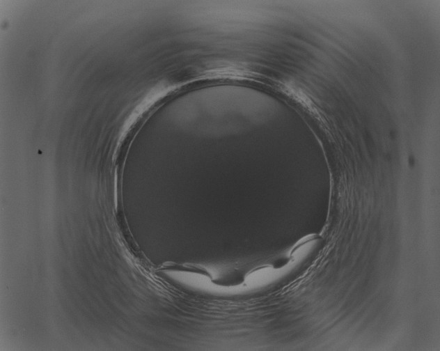 X0000062621323200601111024