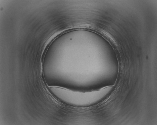 X0000062621324200601111024