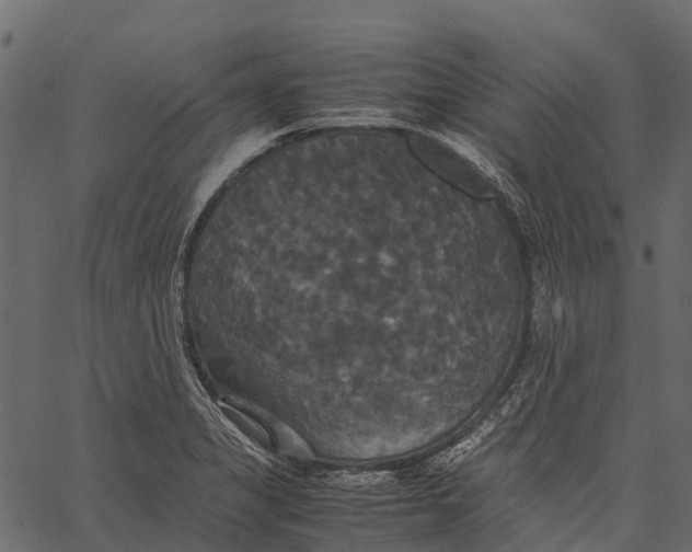 X0000062621325200601111024