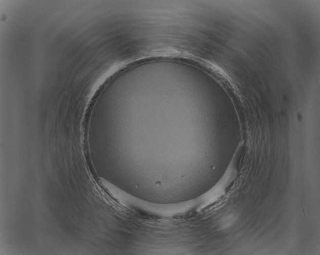 X0000062621326200601111024