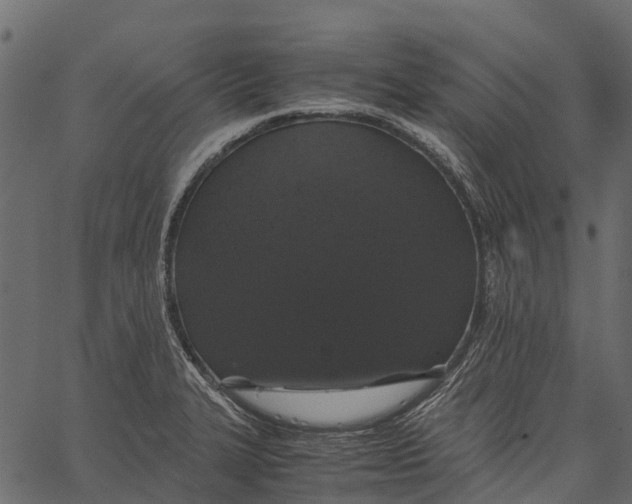 X0000062621327200601111024