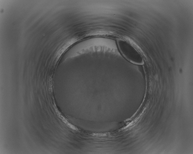 X0000062621329200601111024