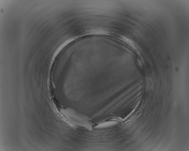 X0000062621331200601111024