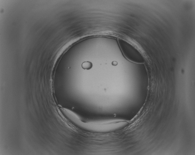 X0000062621332200601111024