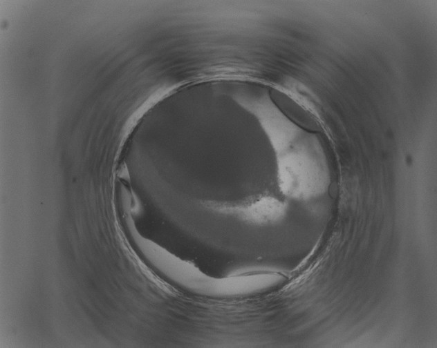 X0000062621333200601111024