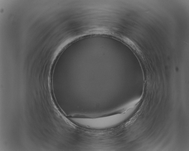 X0000062621334200601111024