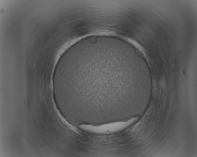 X0000062621335200601111024