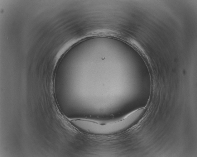 X0000062621336200601111024