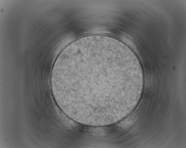 X0000062621338200601111024