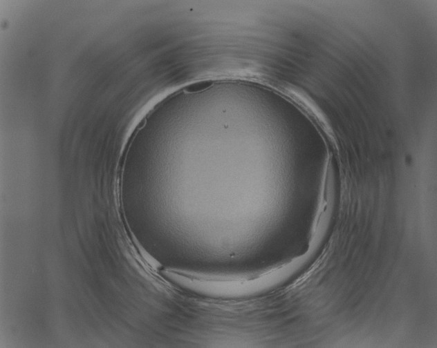 X0000062621340200601111024