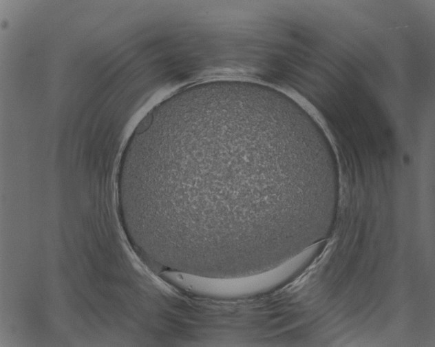 X0000062621341200601111024