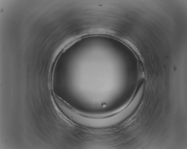 X0000062621342200601111024