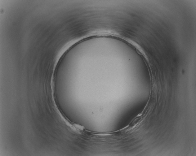 X0000062621343200601111024