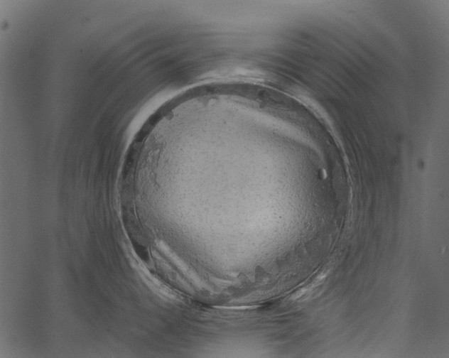 X0000062621344200601111024