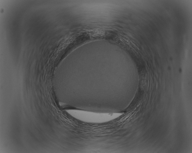 X0000062621345200601111024