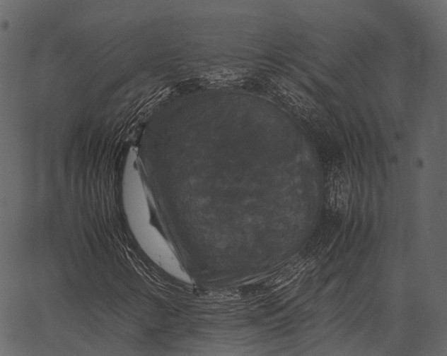 X0000062621346200601111024