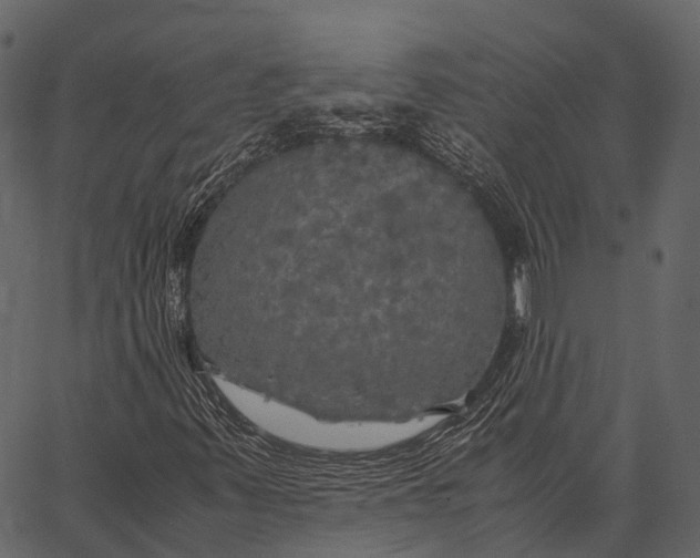 X0000062621347200601111024