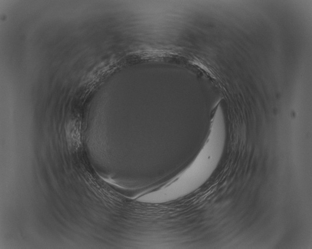 X0000062621348200601111023