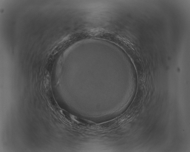 X0000062621349200601111023