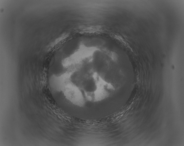 X0000062621350200601111023