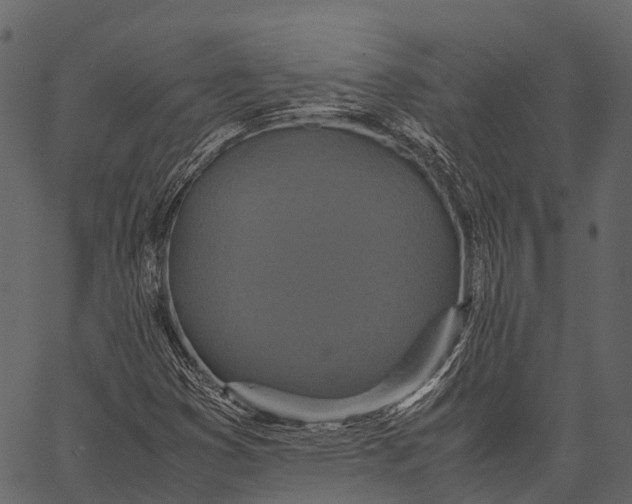 X0000062621353200601111023