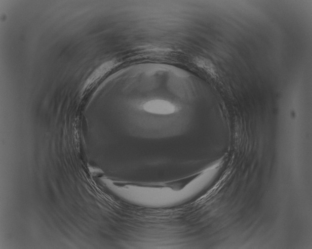 X0000062621354200601111023