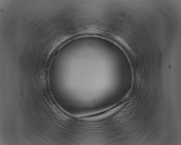 X0000062621356200601111023